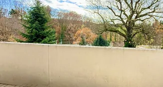 von_poll_real_estate_property_14163008_image_31