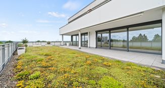 von_poll_real_estate_property_25163013_image_9