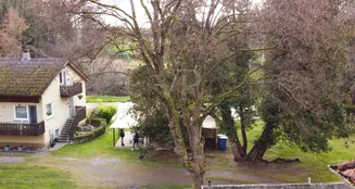 von_poll_real_estate_property_25163020_image_19