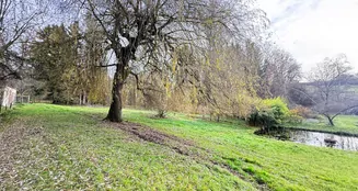 von_poll_real_estate_property_25163020_image_32