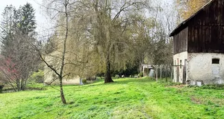 von_poll_real_estate_property_25163020_image_29