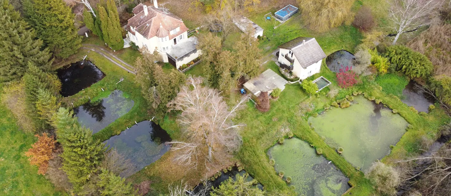 Villa - Haus - Gelande