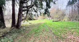 von_poll_real_estate_property_25163020_image_15