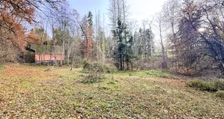 von_poll_real_estate_property_25163020_image_16