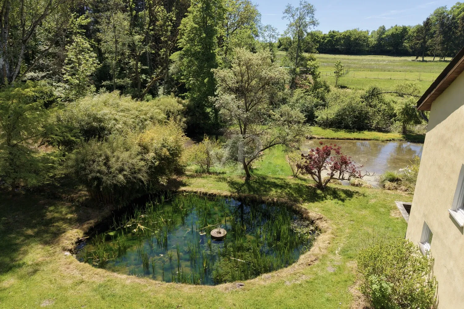 Teich am Einfamilienhaus