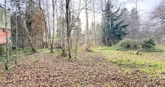 von_poll_real_estate_property_25163020_image_31