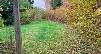 von_poll_real_estate_property_25163021_image_28