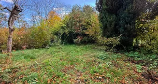 von_poll_real_estate_property_25163021_image_26