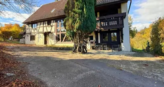 von_poll_real_estate_property_25163021_image_8