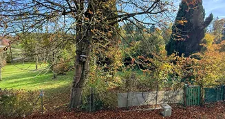 von_poll_real_estate_property_25163021_image_27