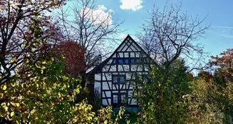 von_poll_real_estate_property_25163021_image_10