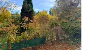 von_poll_real_estate_property_25163021_image_25