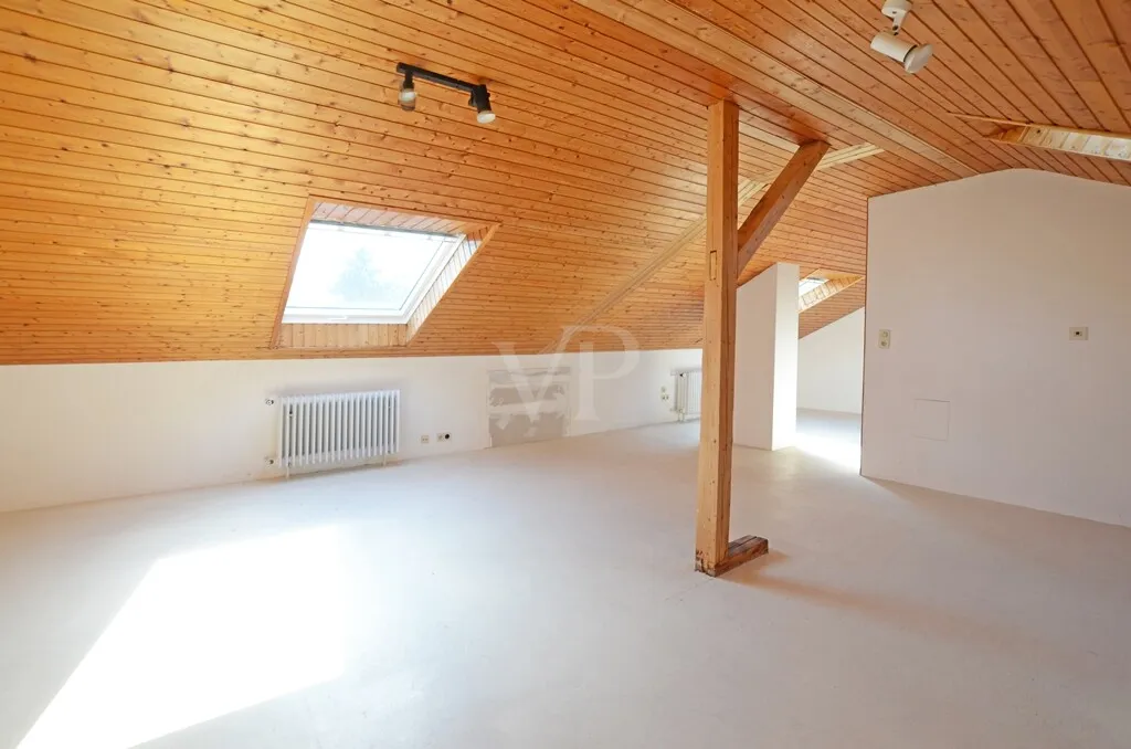 DG-Studio