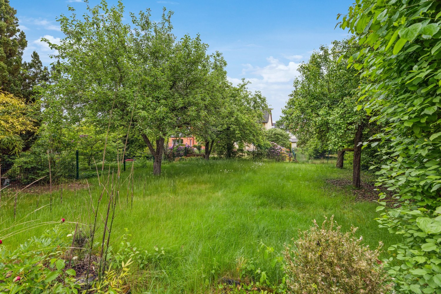 Gartenbereich