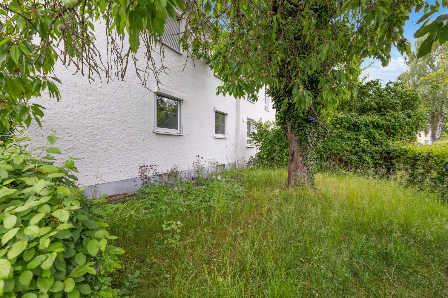Gartenbereich vorne