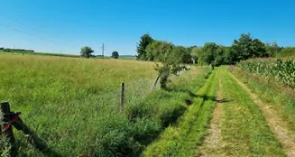 von_poll_real_estate_property_25093046_image_10