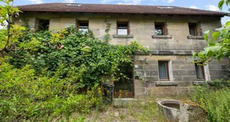 von_poll_real_estate_property_25093046_image_3