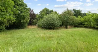 von_poll_real_estate_property_25093046_image_8