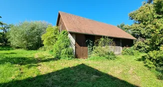 von_poll_real_estate_property_25093046_image_2