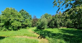 von_poll_real_estate_property_25093046_image_7
