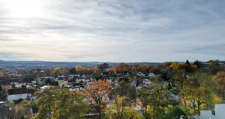 von_poll_real_estate_property_25093064_image_1