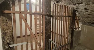 von_poll_real_estate_property_25093024_image_15