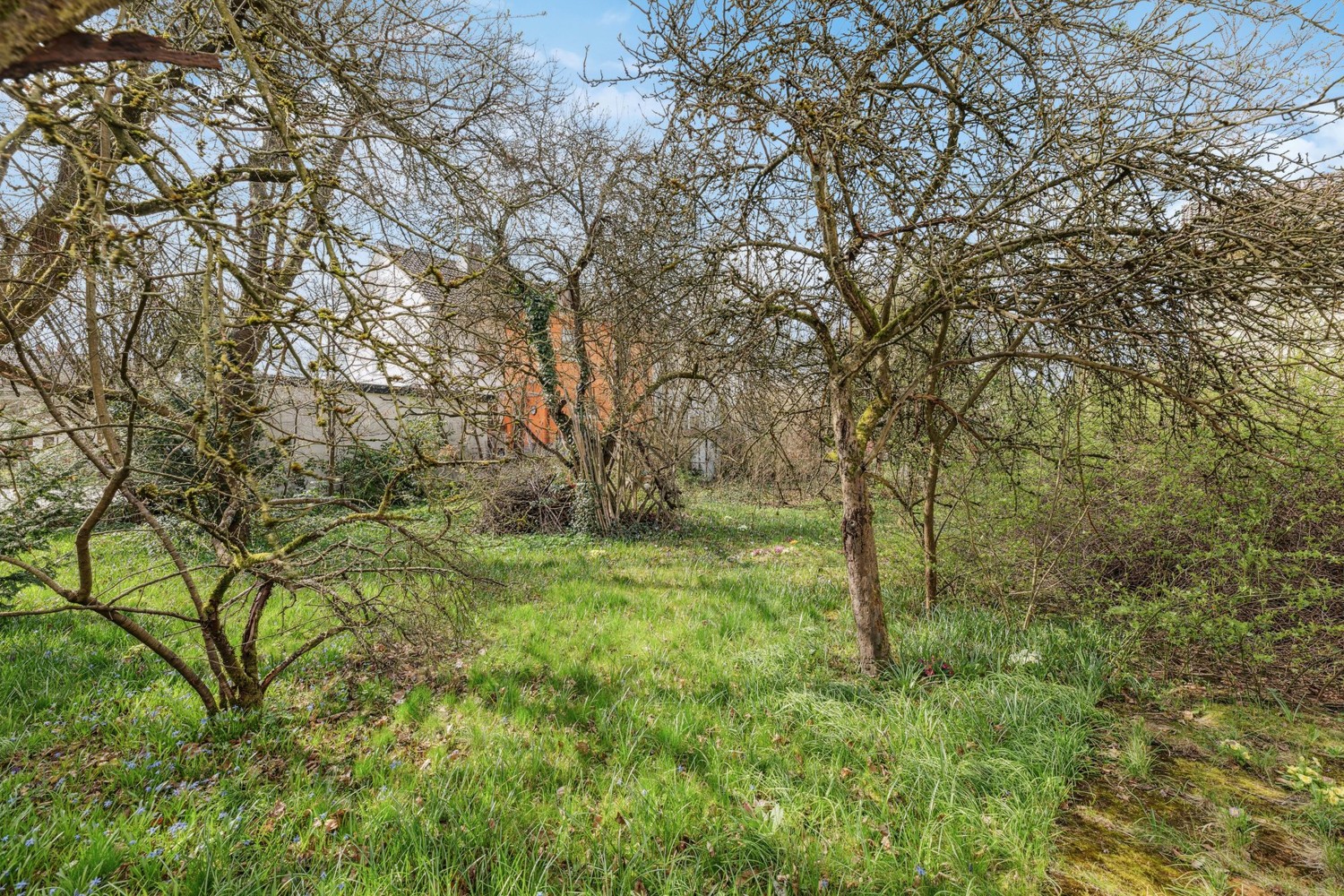 Gartenblick