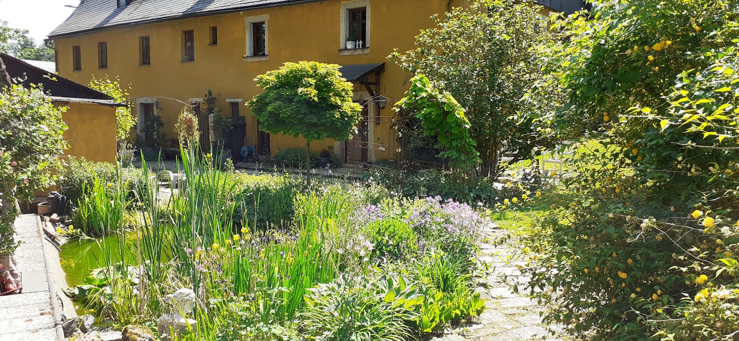 Gartenansicht Sommer