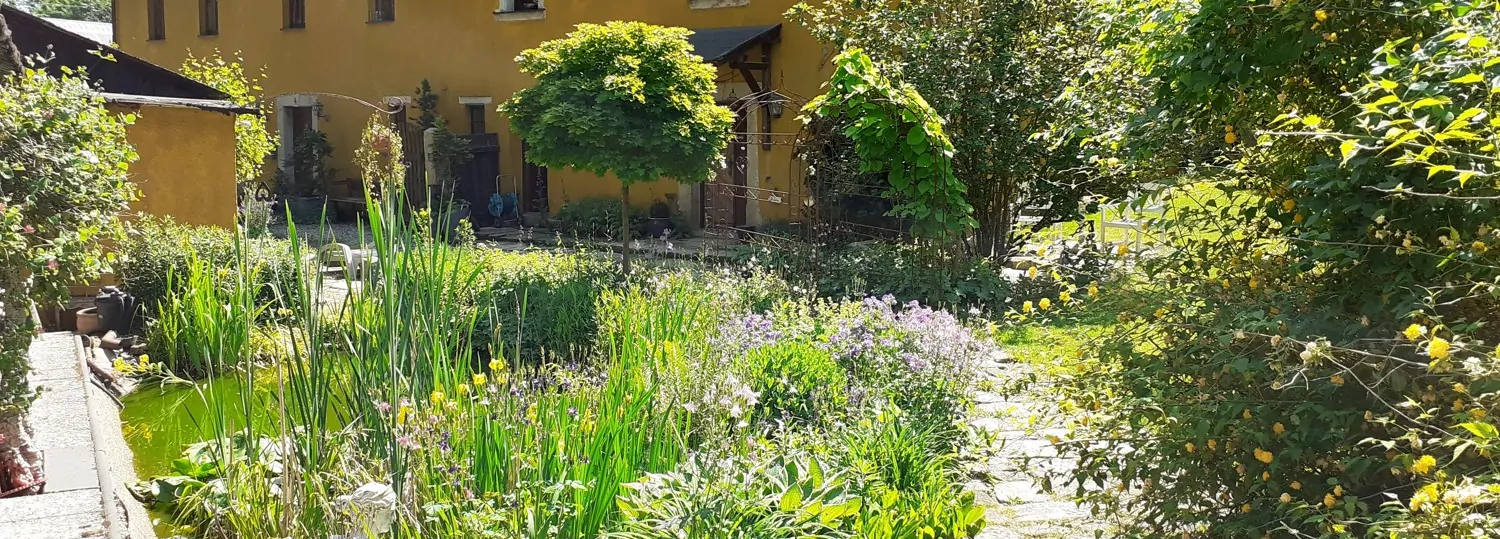 Gartenansicht Sommer