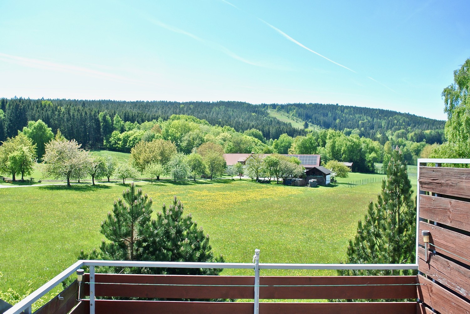 Ausblick
