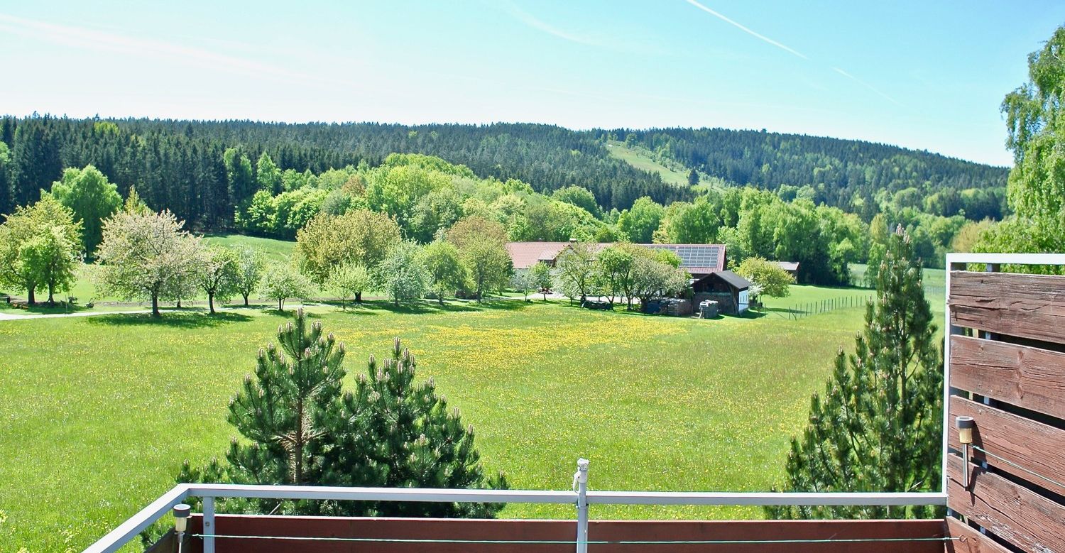 Ausblick