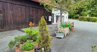 von_poll_real_estate_property_25093040_image_4