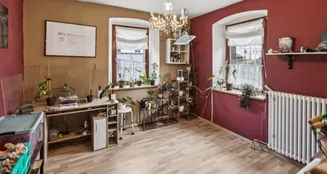 von_poll_real_estate_property_25093069_image_12