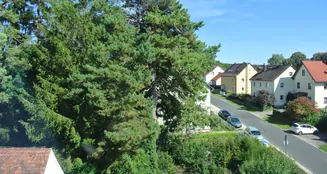 von_poll_real_estate_property_25093059_image_19