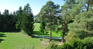 von_poll_real_estate_property_25093059_image_20