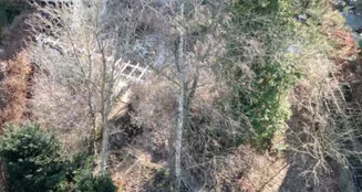 von_poll_real_estate_property_26093003_image_14