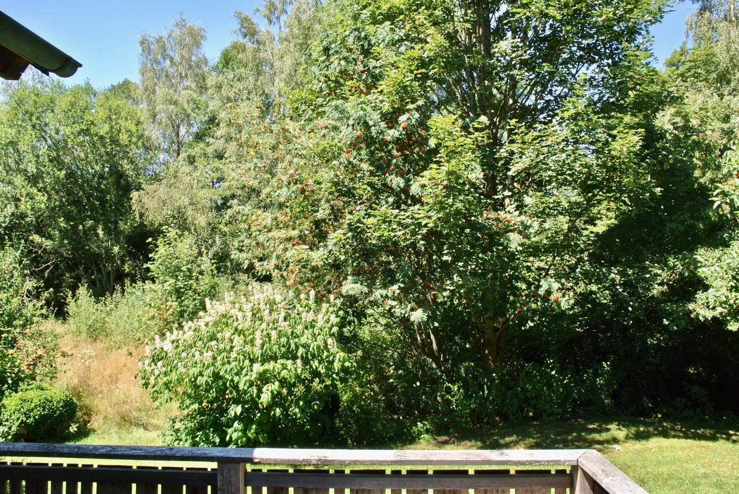 Gartenterrasse