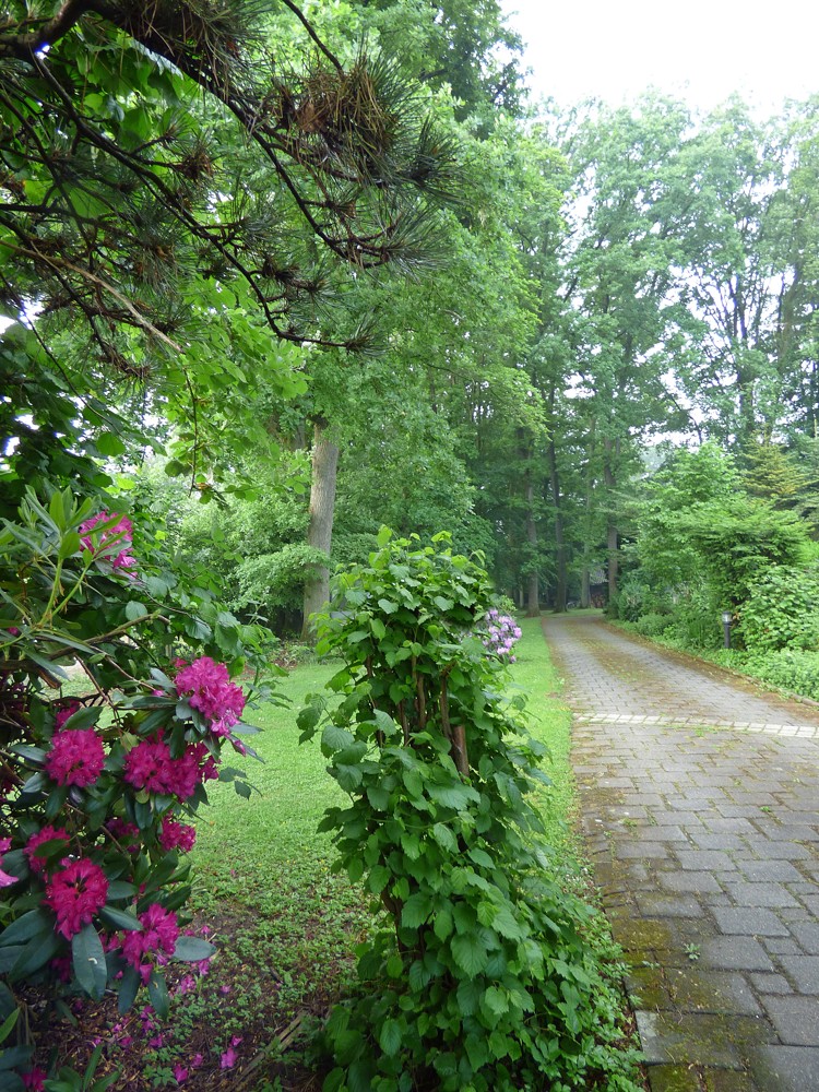 Zufahrt von Anliegerstraße