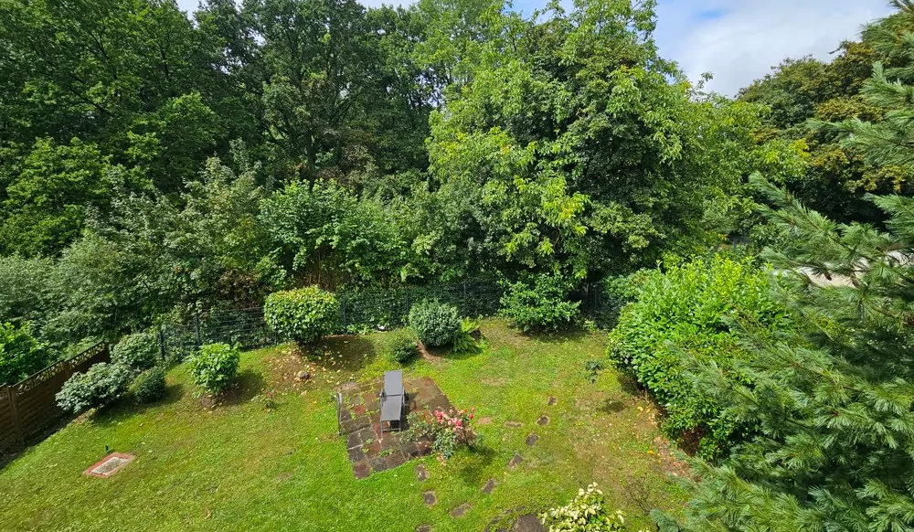 Blick in den Garten