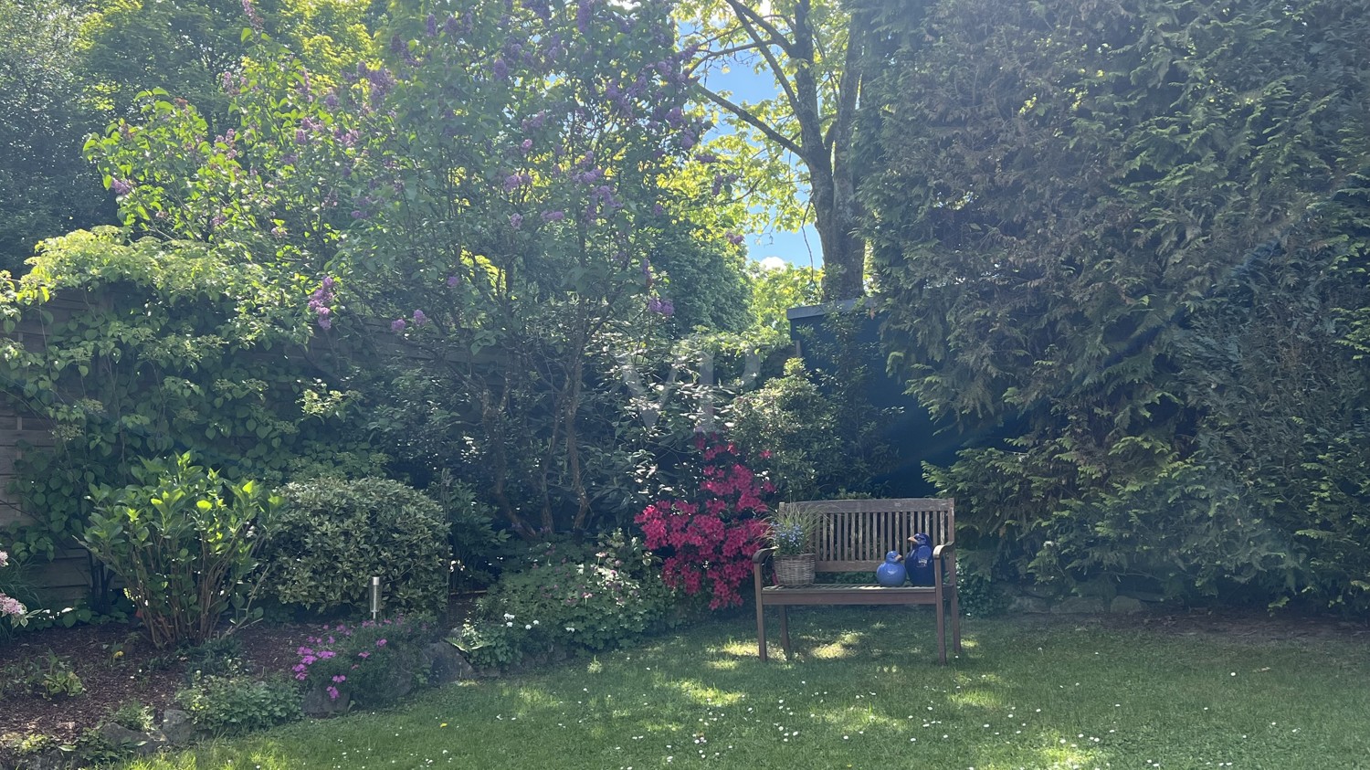 Gartenimpressionen