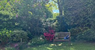 von_poll_real_estate_property_25134009_image_17