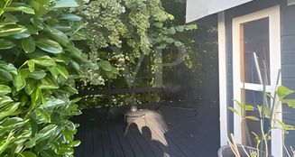 von_poll_real_estate_property_25134021_image_5