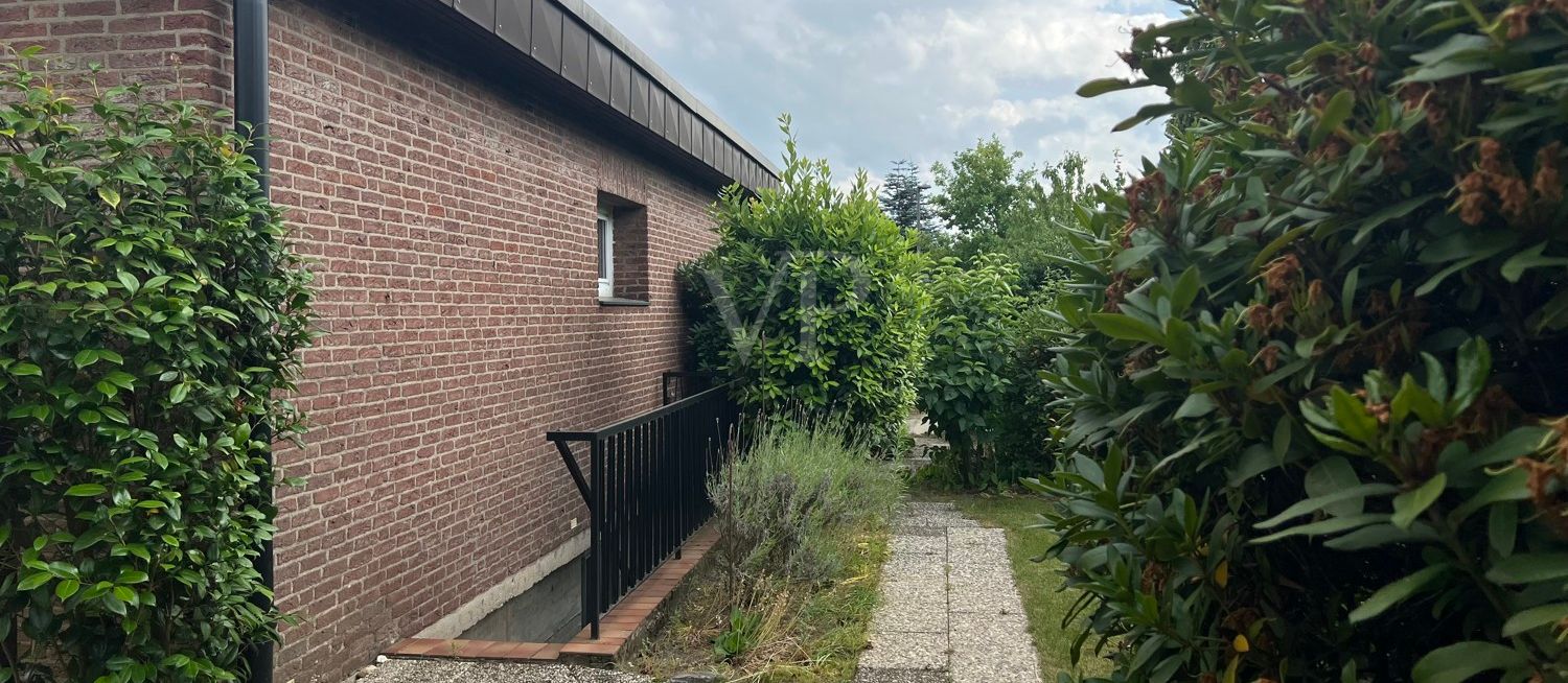 Garten Kelleraußentreppe