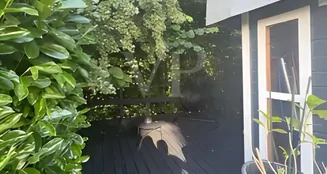 von_poll_real_estate_property_25134023_image_5