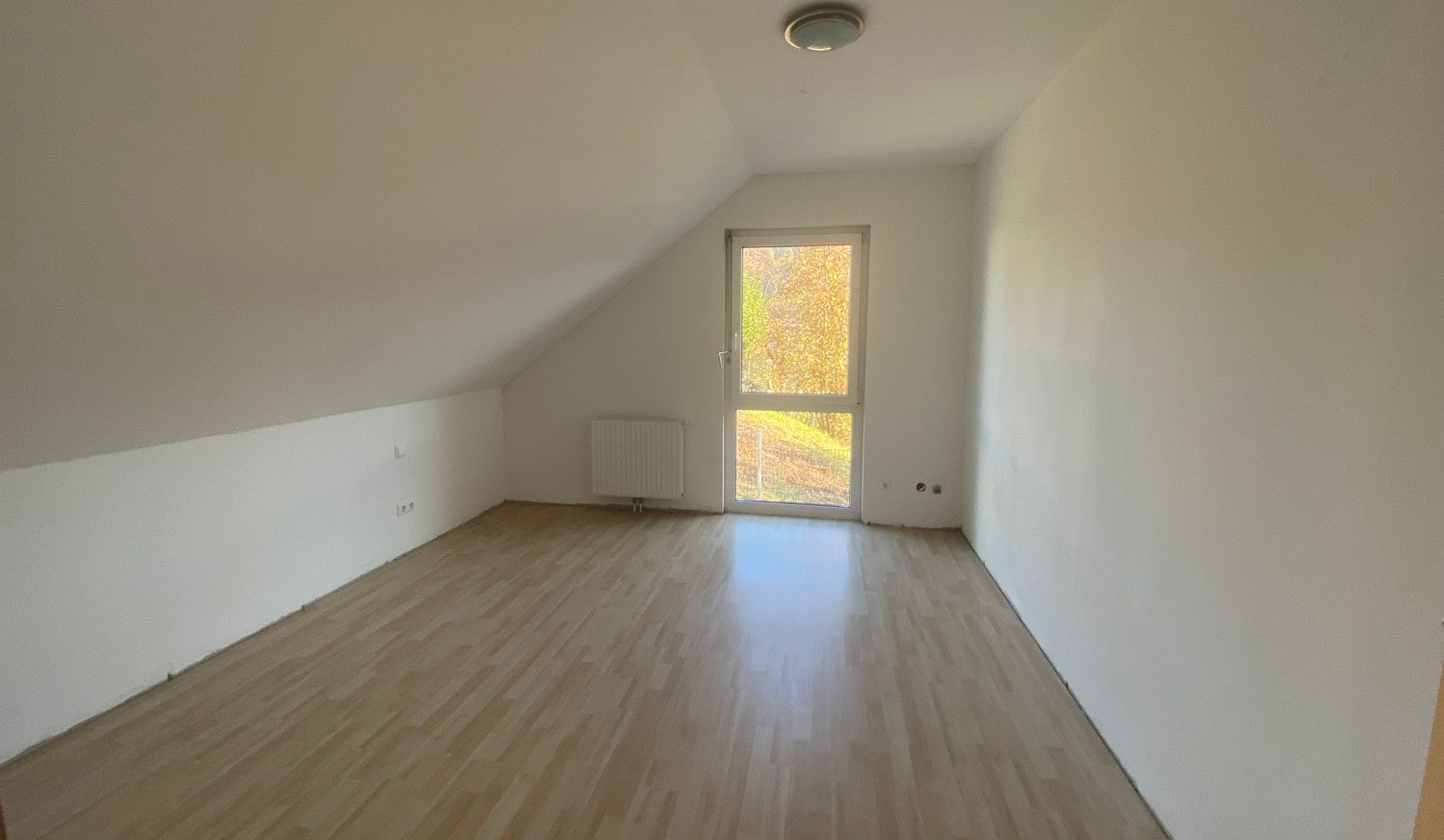 Zimmer I