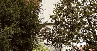 von_poll_real_estate_property_25133822_image_2