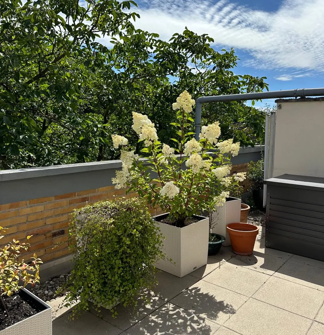 Blick zur großen Terrasse