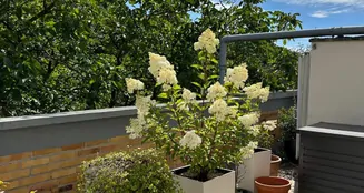 von_poll_real_estate_property_26133863_image_5