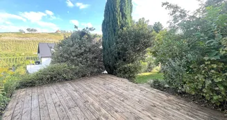 von_poll_real_estate_property_25133841_image_11