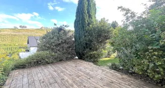 von_poll_real_estate_property_25133841_image_3